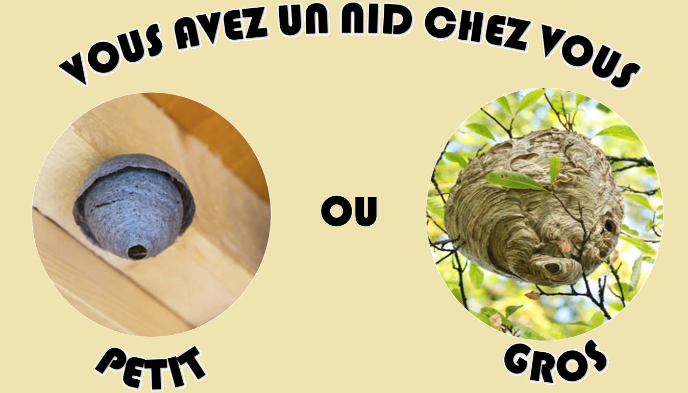 Un nids chez vous
