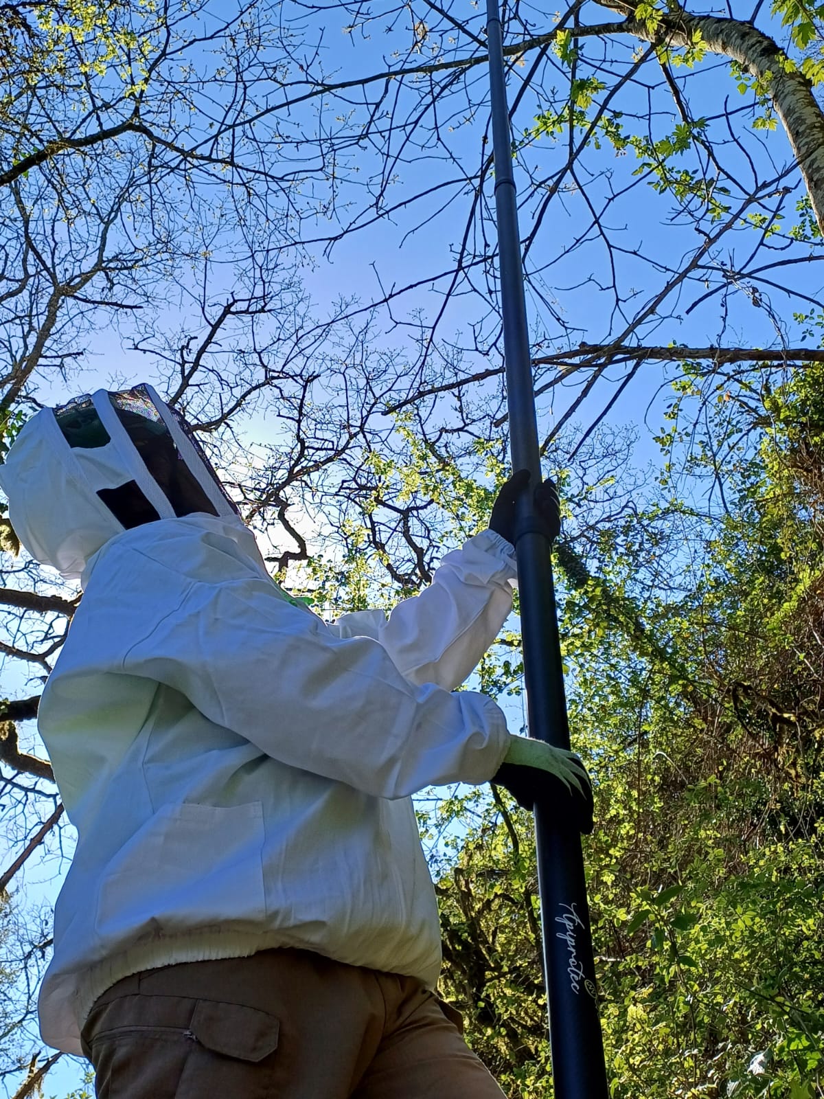 technique par perche téléscopique